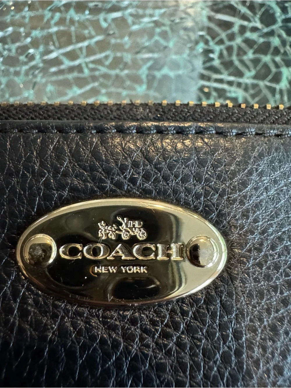 Coach Leather Crossbody Bag in Black